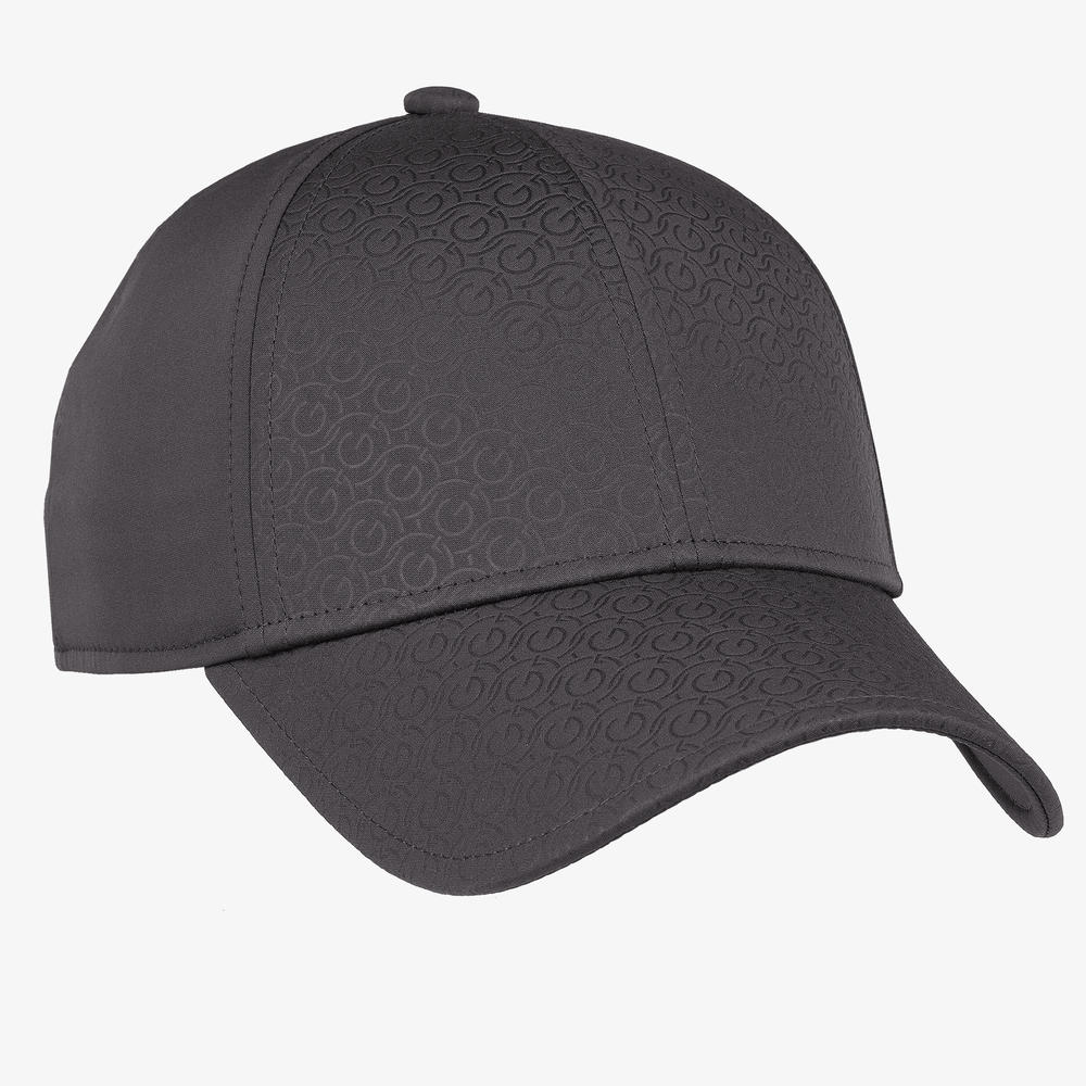 Sanders is a Golf cap in the color Forged Iron(0)