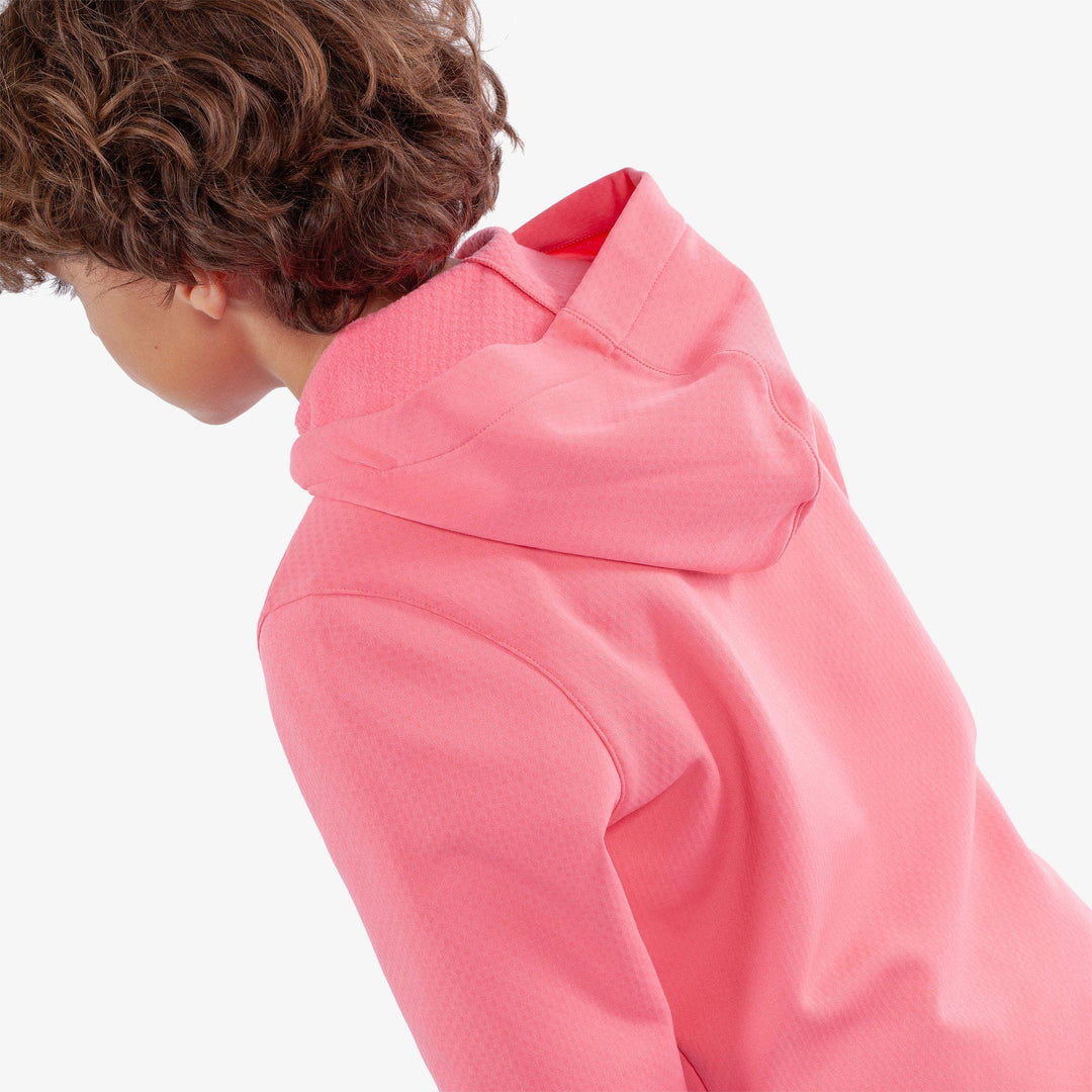 Rico is a Insulating golf sweatshirt for Juniors in the color Camelia Rose(5)