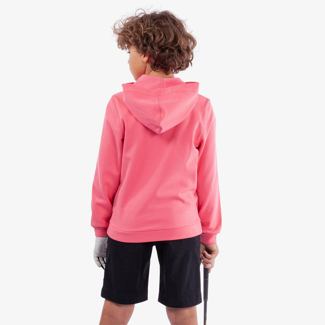 Rico is a Insulating golf sweatshirt for Juniors in the color Camelia Rose(4)